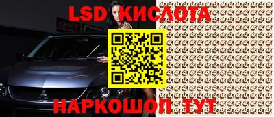 мяу мяу мука Малоярославец