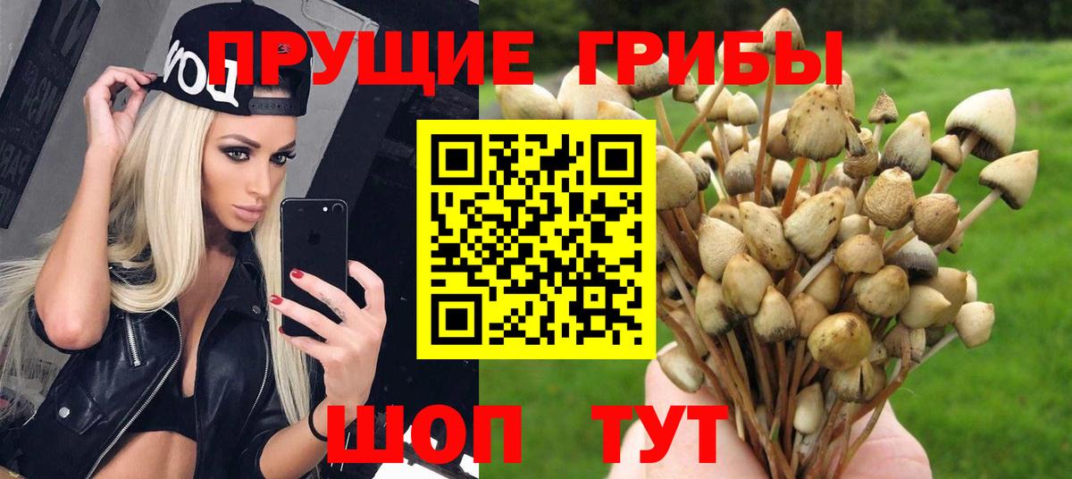Урай  Псилоцибиновые грибы Psilocybe  Вход с VPN 